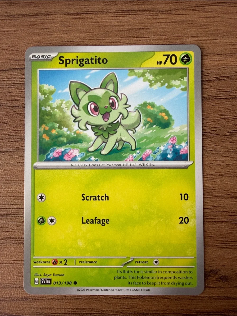 🐱 Cat Pokémon Card Lot | Sprigatito Perrserker Skitty Purugly ✨5/$25✨